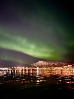 Modern City apartment - Tromsø - 8