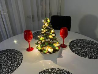 Nad Wełną Check-in 24H - 9