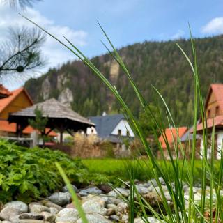 Zaži Izba Štandard Liptovská Osada - 9