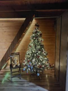 Vikendica Djokanovic - 1