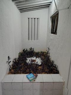Suite para casal - Natal - 1