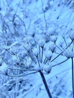 Alpenfels Apartments - Zwieselstein - 5
