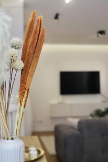 Appartement cosy et lumineux - Liegi - 9