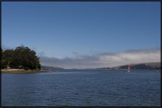 Tomales Bay Lodge and Marina Inc - Inverness - 6