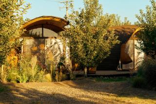 Apfel Lodge - Cunaco - 5