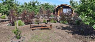 Apfel Lodge - Cunaco - 4
