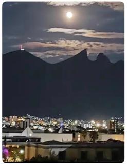 Lux 2 bedroom apartment, swimming pool, gym and free parking spot in Macro Plaza area - Monterrey - 4