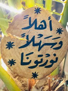 Shasha Ecolodge - Siwa - 1