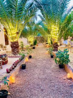 Shasha Ecolodge - Siwa - 5