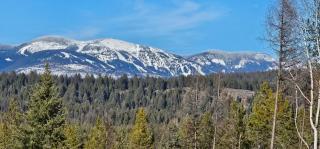 Cabin on 15 acres with Mtn view, firepit, Starlink - Whitefish - 6
