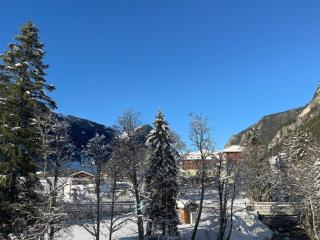 Confort moderne avec mezzanine près du téléphérique - FR-1-464-247 - Pralognan-la-Vanoise - 1