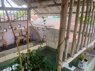 Javalindra Homestay Tour and Travel - Banyuwangi - 3