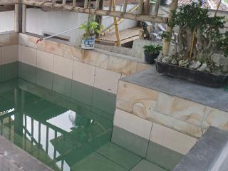 Javalindra Homestay Tour and Travel - Banyuwangi - 7