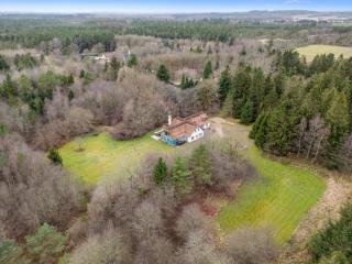 Large Pool House For 20 People, Where Hunting Is Allowed In The Adjacent Forest, - Brande - 7