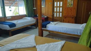 The Lake Paradise Boutique Resort - Alleppey - 4