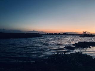 Lake Ibis - Tissamaharama - 2