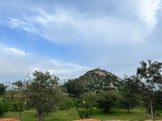 Serene Village Retreat - 9