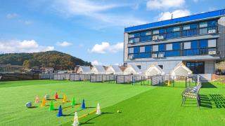 Namhae Dangdangi Dog Pension Blue - Namhae - 0