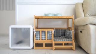 seonjaedo gaekkul house pet pension - Incheon - 5