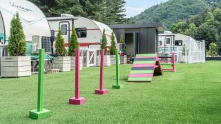 Gapyeong Dongban84 Glamping&Pool villa - Gapyeong - 8