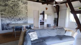 SPLENDIDE f4 AVEC VUE IMPRENABLE SUR L'OCEAN - Saint-Joseph - 9