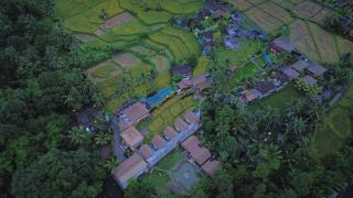 Lawani Resort - Tegalalang - 2
