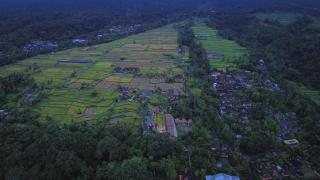 Lawani Resort - Tegalalang - 9