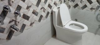 Shree Lodge - Benares - 3