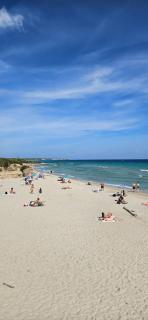 Agriturismo La Rondine - Otranto - 1