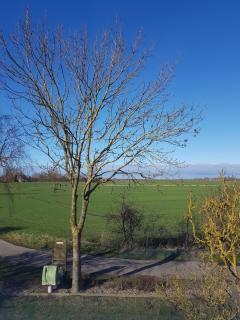 Haus im Felde - 2