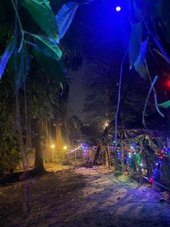 Clements holiday home - Kalpatta - 3