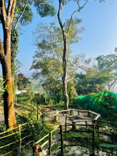 Clements holiday home - Kalpatta - 4