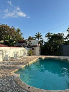 Petite Tortue - Saint-Gilles-les Bains - 9