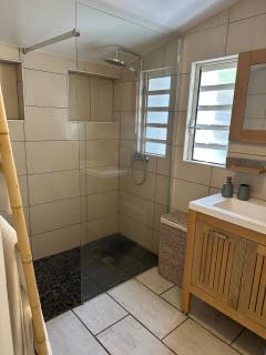 Petite Tortue - Saint-Gilles-les Bains - 1