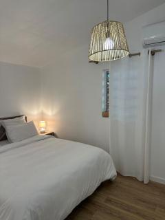 Petite Tortue - Saint-Gilles-les Bains - 3