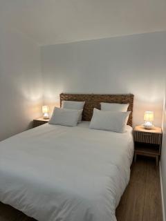 Petite Tortue - Saint-Gilles-les Bains - 2