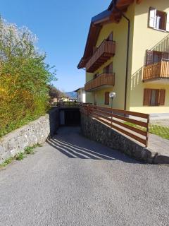 Fiore - Pieve di Ledro - 8
