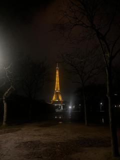 Eiffel Tower View Haussmanian Charm 2min walk from the Eiffel Tower gardens - Paris - 1