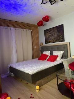 Love room nantais - Nantes - 5