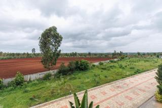 Celestial Sapphire Pool Nr Nandi Hills VegOnly - 4