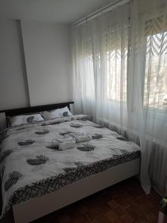 Andrej 45 - Belgrado - 9