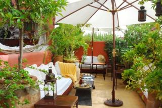 La Terrasse Des Oliviers - 3
