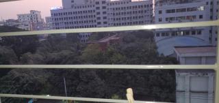 Feel your home - Dhaka - 0