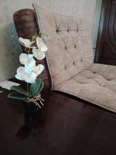 Alexhome - Tashkent - 1