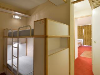 Studio cabine ski-in/ski-out, animaux admis, parking en option - FR-1-181-2211 - La Plagne Tarentaise - 5