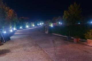 B&B L'Orizzonte - Civitavecchia - 7