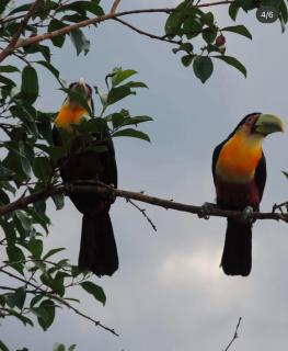 Reserva Mauá chalés - Visconde De Mauá - 5
