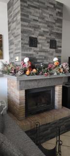 Cactus house - Corchiano - 9