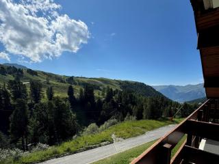 Studio fonctionnel au pied des pistes avec balcon, animaux admis - FR-1-181-2276 - 5