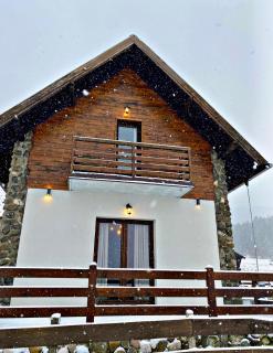 Vila Tornik 3 - Zlatibor - 7